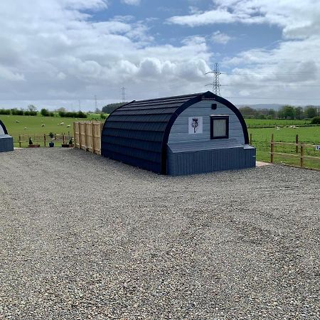 Thistle Pod Farm Stay With Hottub Sleeps 2 Galston  Eksteriør bilde