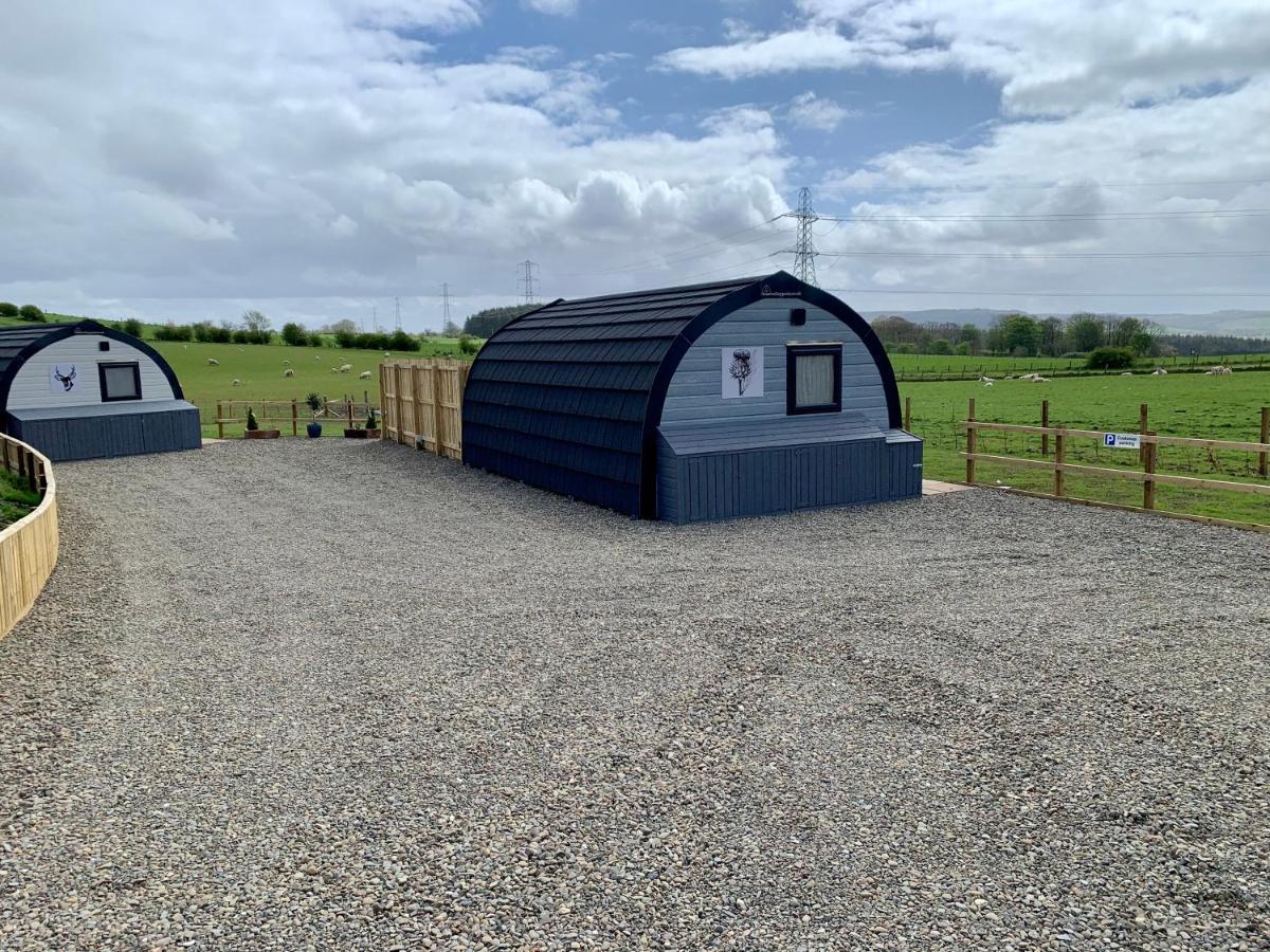 Thistle Pod Farm Stay With Hottub Sleeps 2 Galston  Eksteriør bilde
